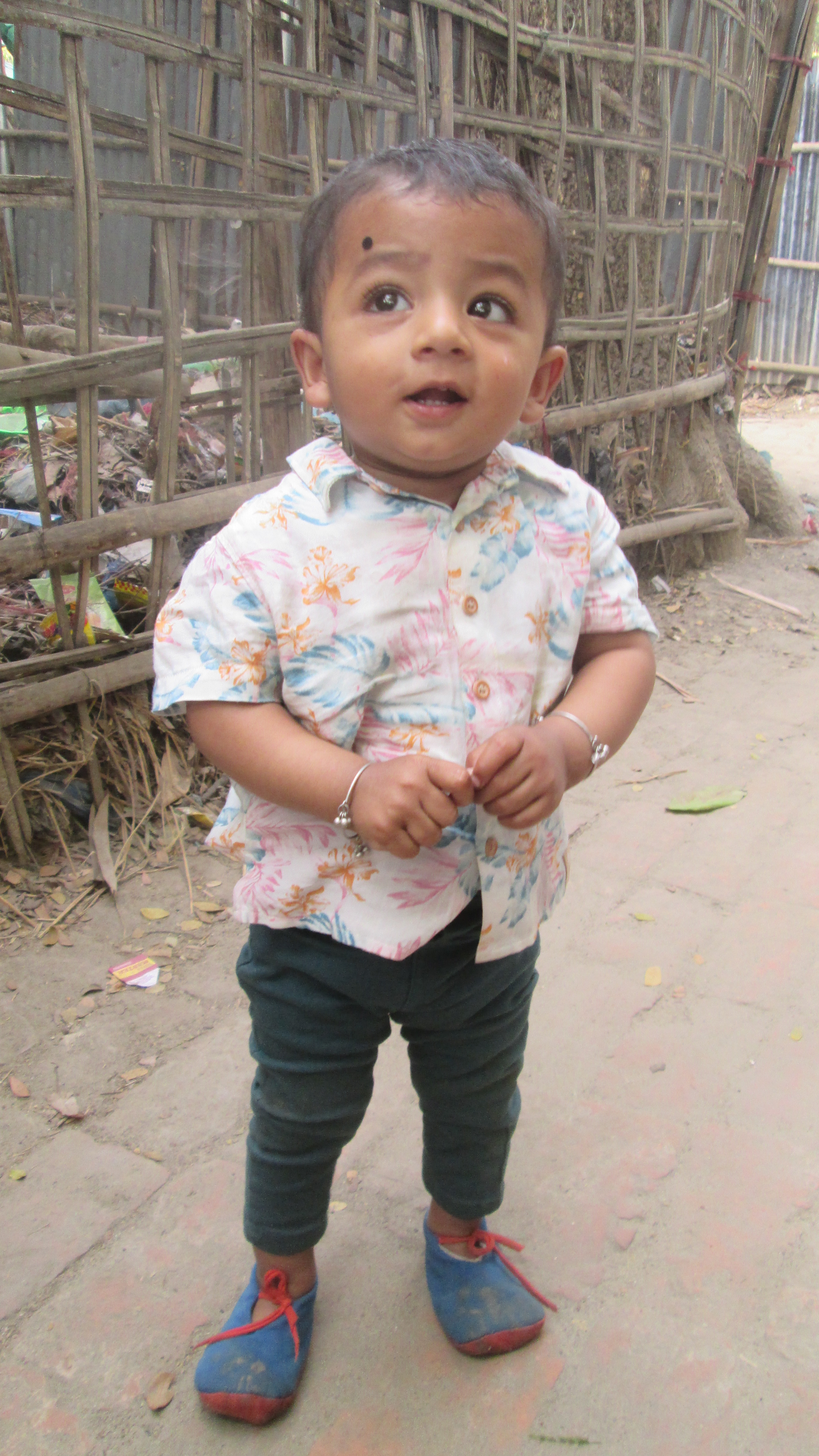 Shayan at the zoo